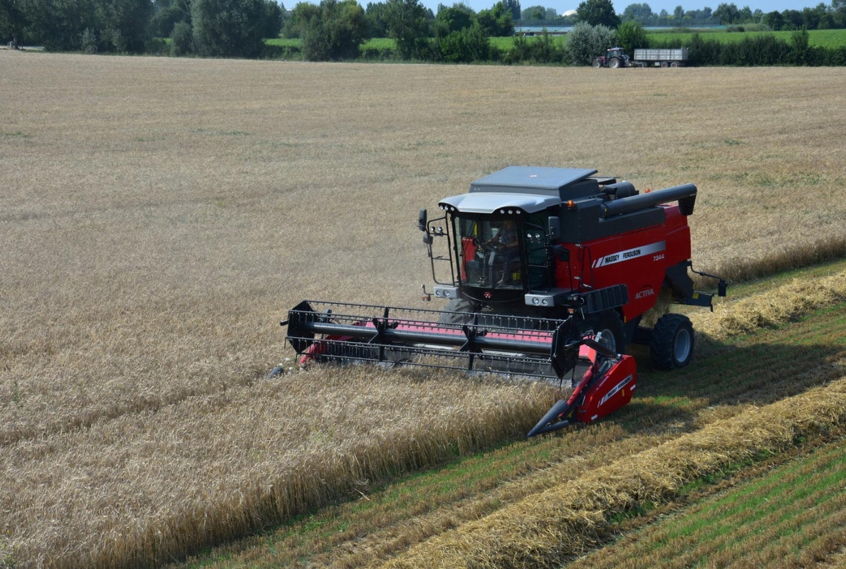 Massey Ferguson MF ACTIVA 7344