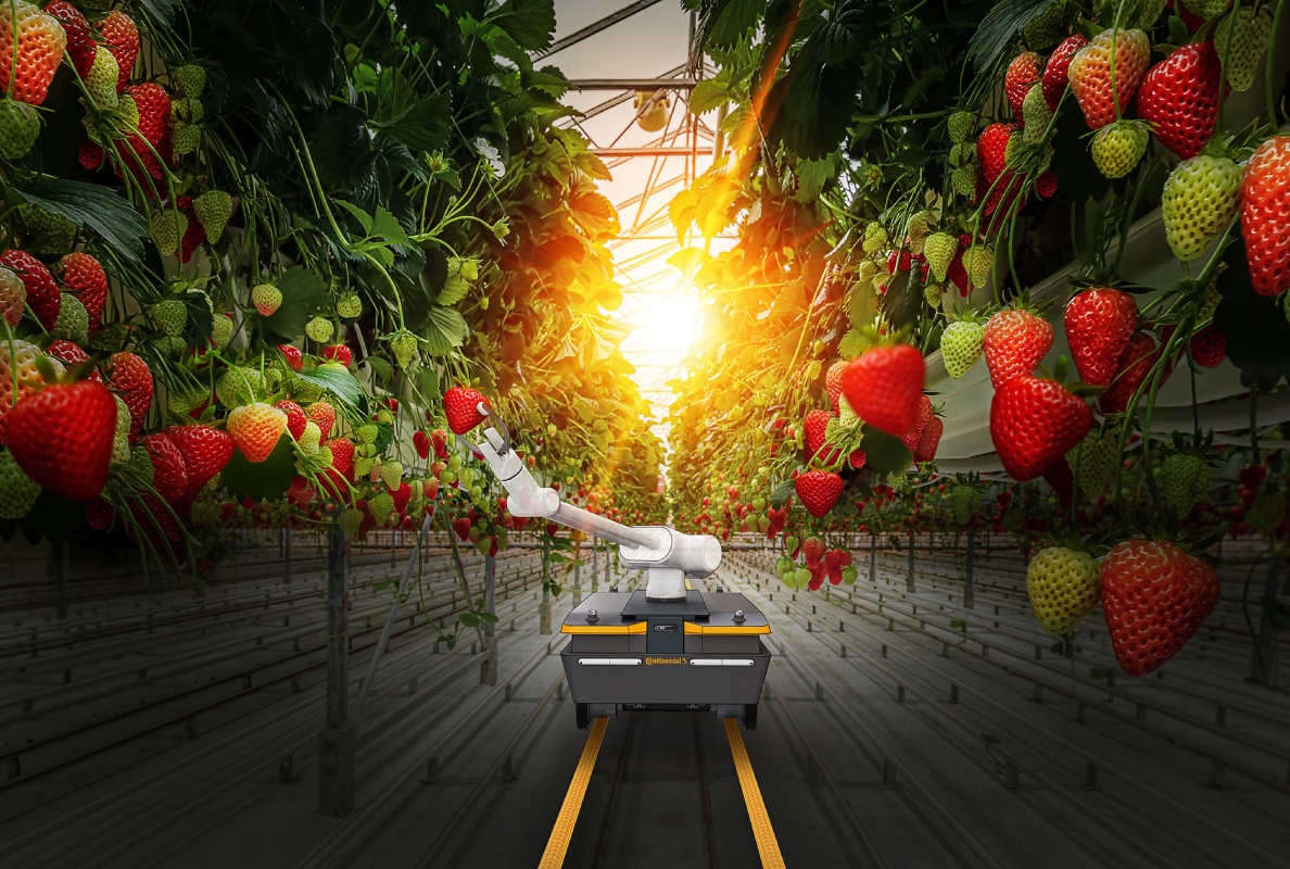 Continental’s greenhouse