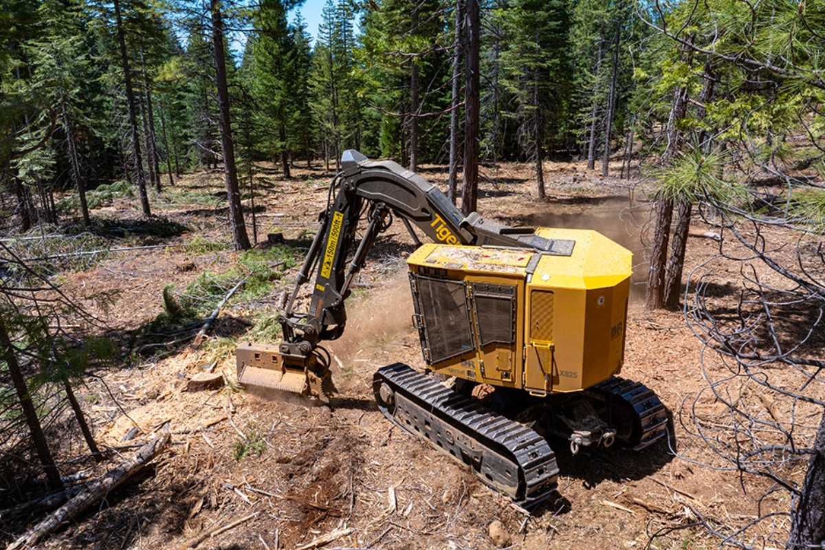 A two-part fuel reduction contract. The LX825 follows a commercial thinning designed to create a wide shaded firebreak on either side of the access road.