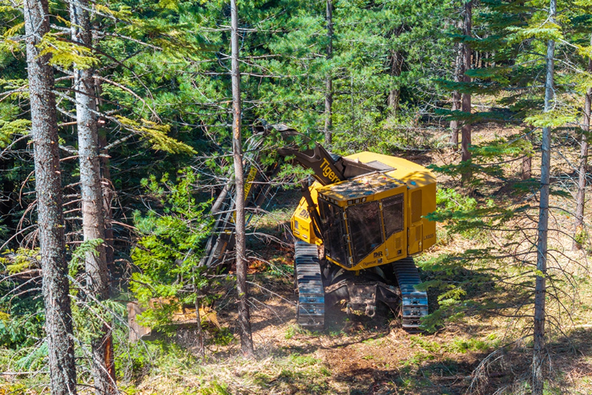 Additionally, the machine penetrates the dense forest beyond the break to remove small nonmerchantable timber and understory, enhancing forest health and resiliency.