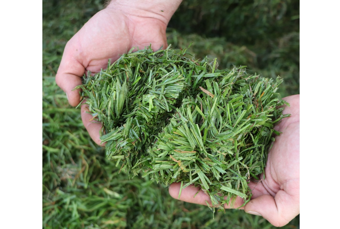 22 mm cutting length for maximum fodder quality.