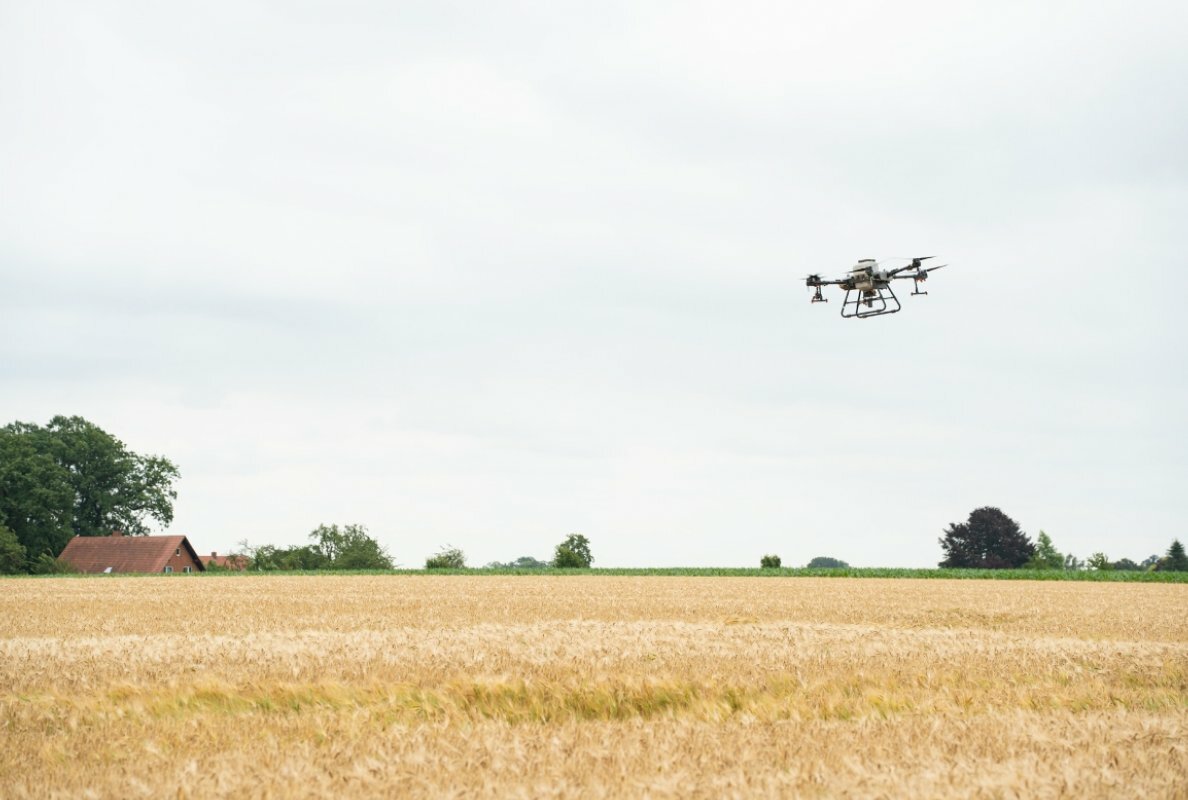 Drone seed