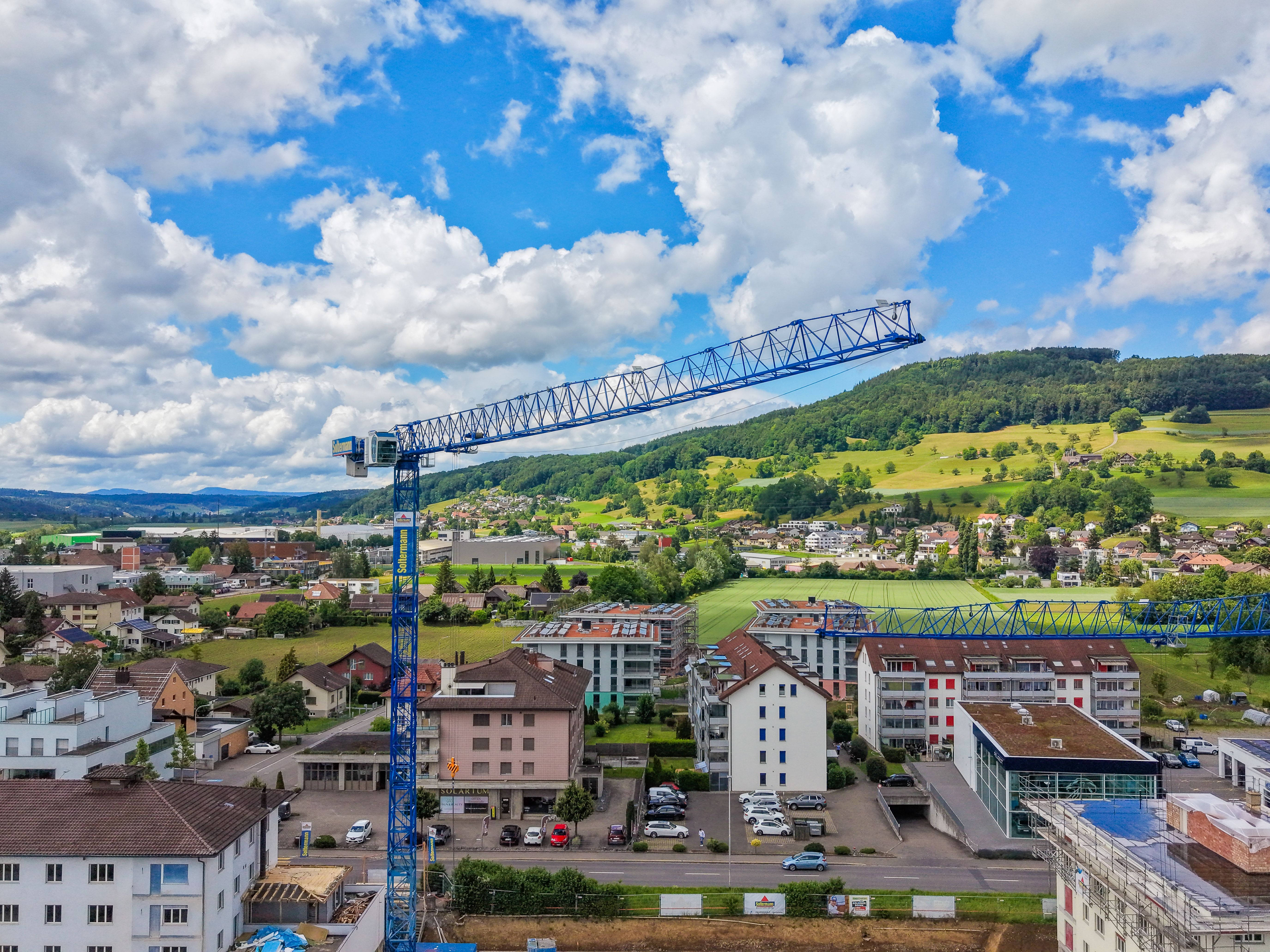 Raimondi Cranes
