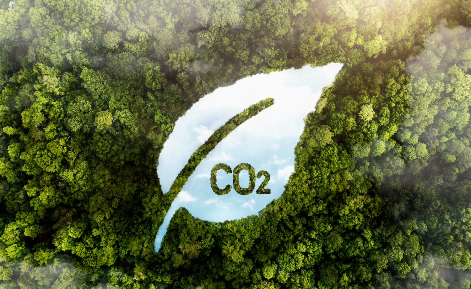 The LT-13 forklift sustainability