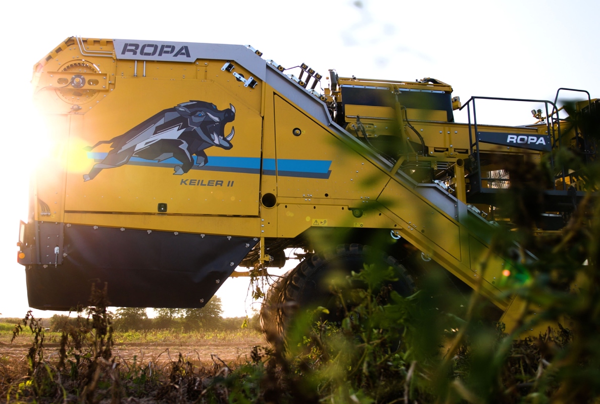 ROPA Keiler 2 RK22 Sunshine on Keiler