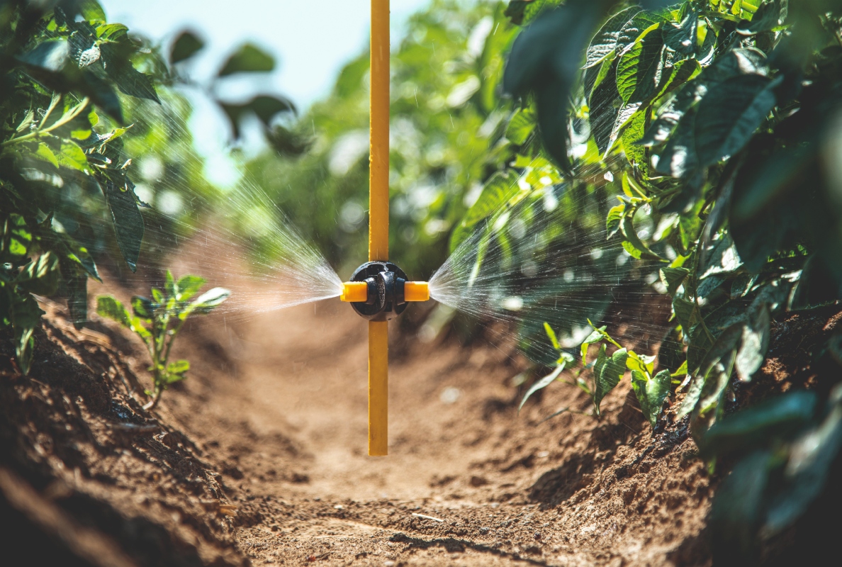 Plenty of Innovations for Crop Protection: agrotop presents numerous new developments and upgrades at AGRITECHNICA 2025