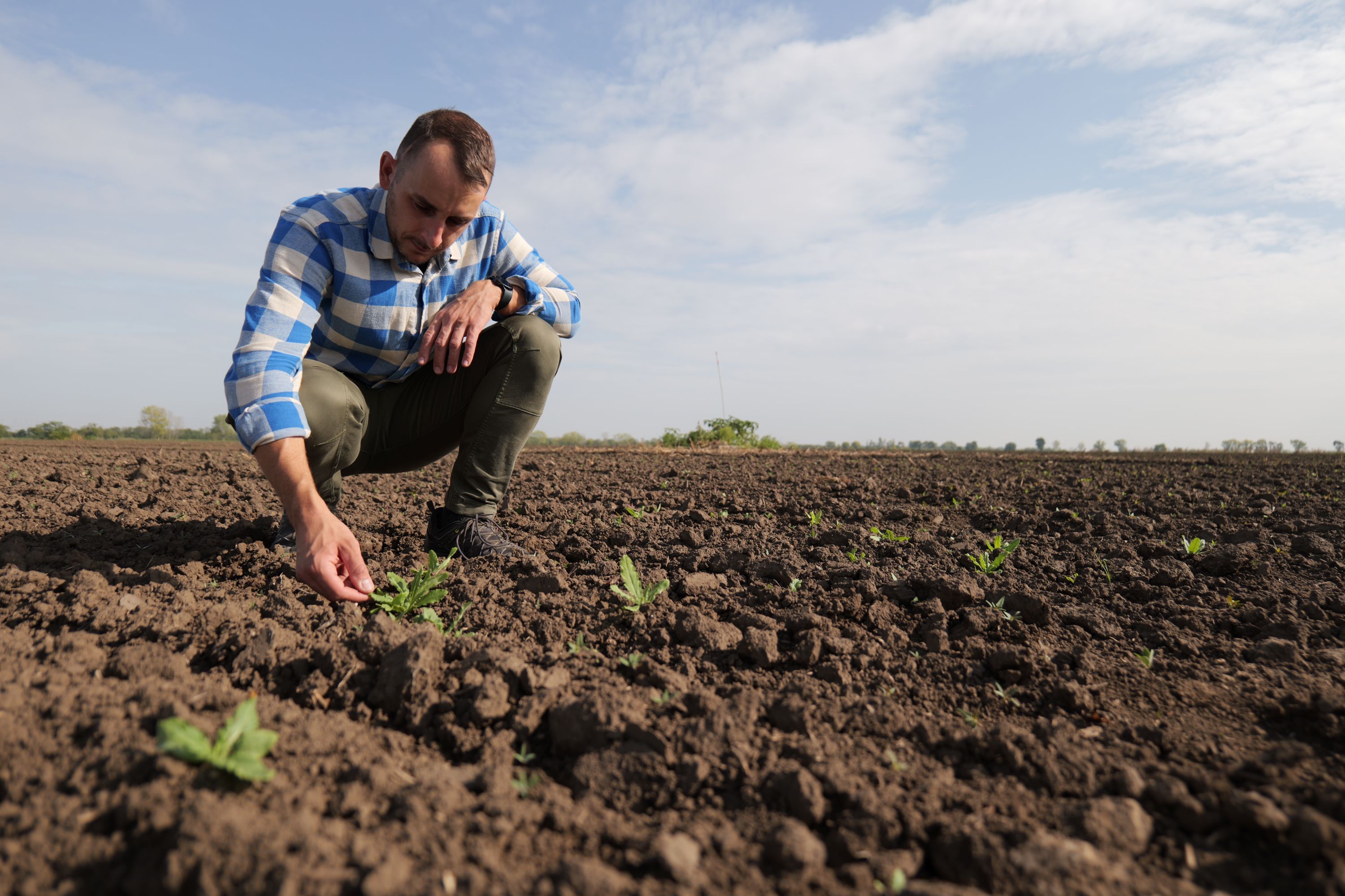 Many farmers own spot sprayers but often lack the tools to detect weeds SMALL
