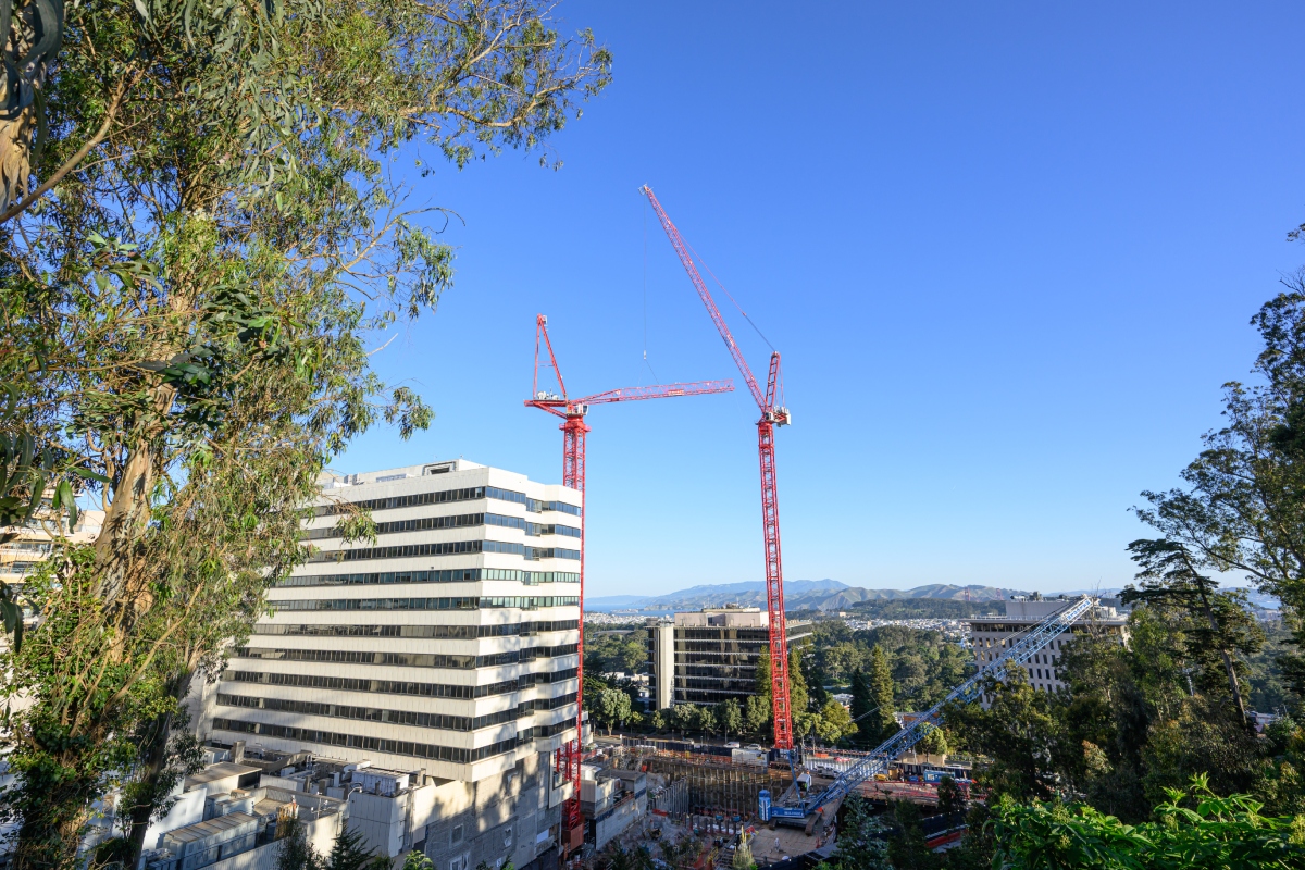 One WOLFF crane assembles