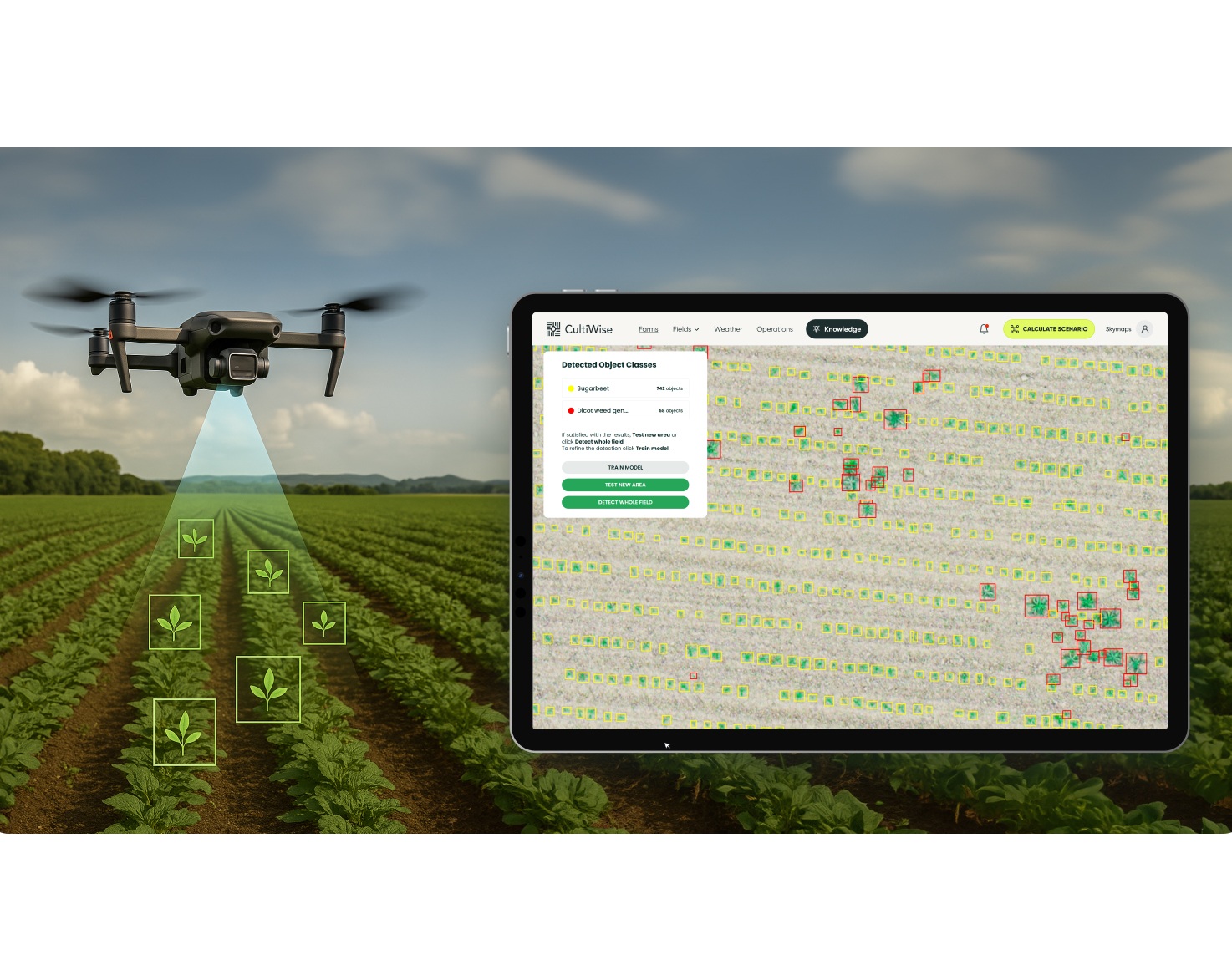 flying at heights of 40 to 120 meters, drones capture field images that are uploaded to the CultiWise platform