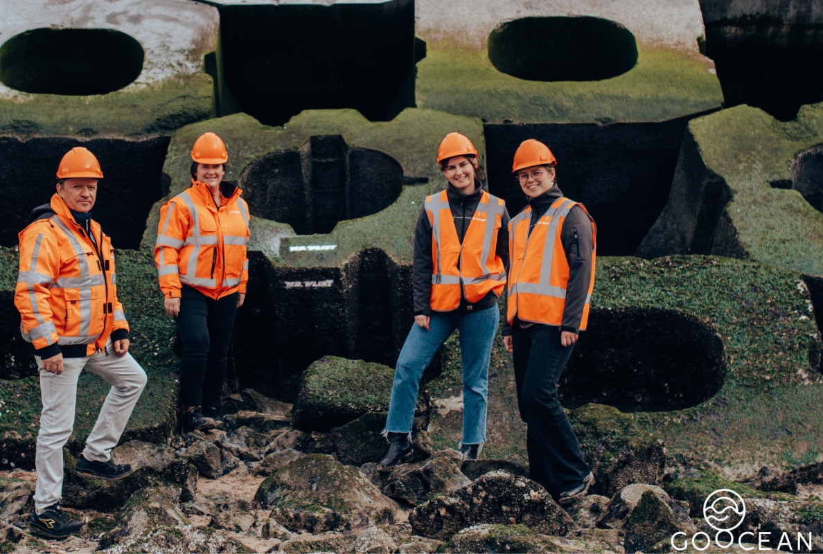 Enhancing biodiversity in the Blankenberge harbour