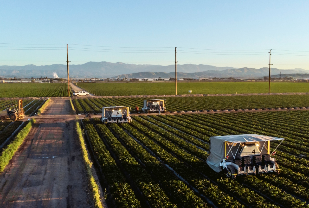 A fleet of advanced farm