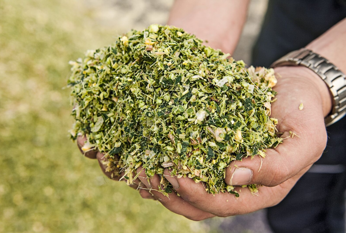 Optimised preparation and innovations for Fendt forage solutions
