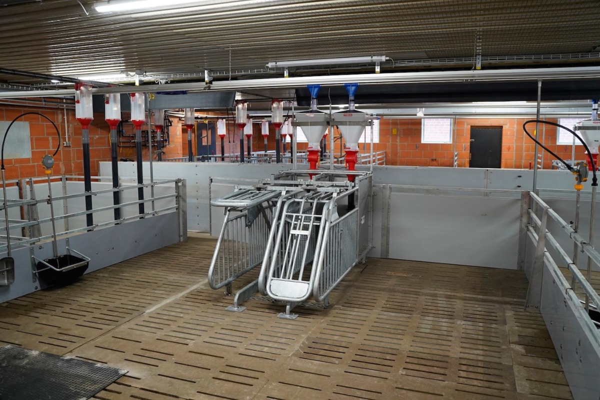 Smart-ID Control from WEDA Dammann & Westerkamp is an intelligent, sensor-based monitoring system for the Opti.Station feeding station used in group housing for pregnant sows. It automatically detects the loss of electronic ear tags (RFID transponders) directly whilst the animals are feeding.