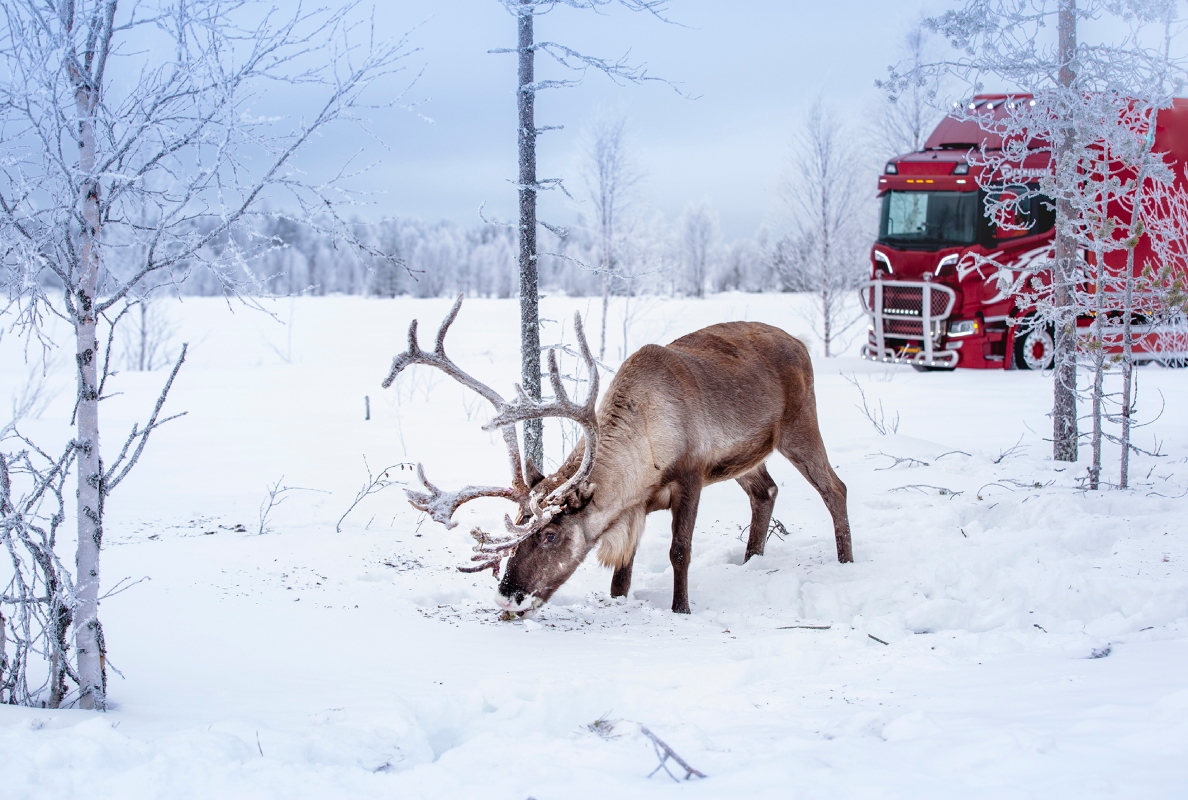 Continental Finland