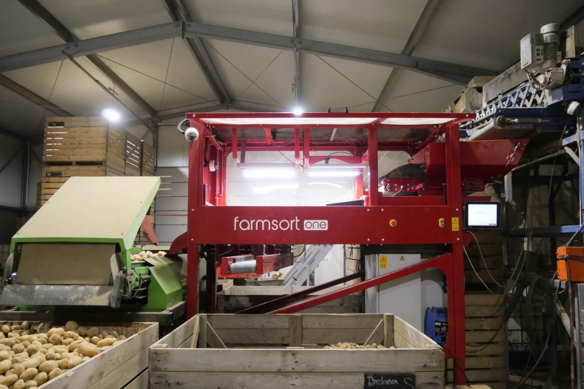 Farmsort.one as part of an existing sorting line: The 1.5‑metre inspection path enables reproducible quality assessment within the flow of goods.