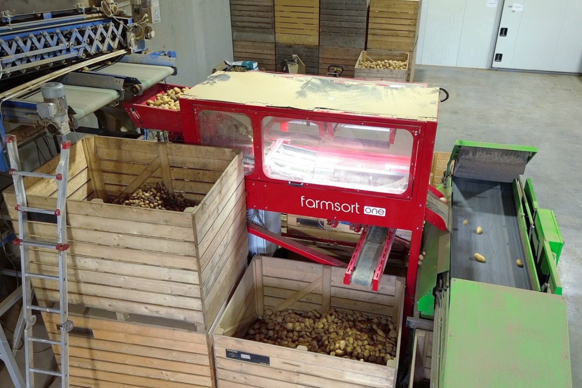 Combined size and quality grading: Farmsort.one separates defective, surplus and grade A produce in a single pass.