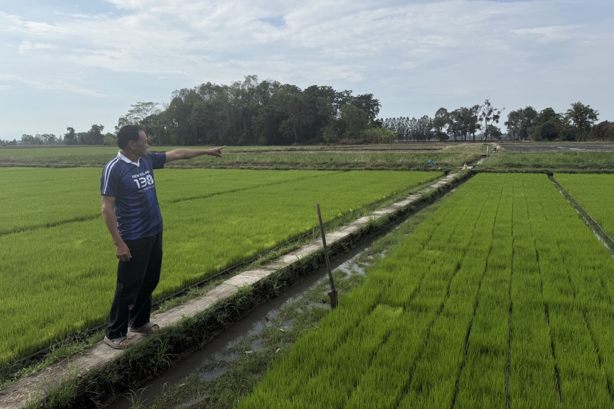 CNH equipment helps Thai rice farmer replace stubble burning - Rice Farm