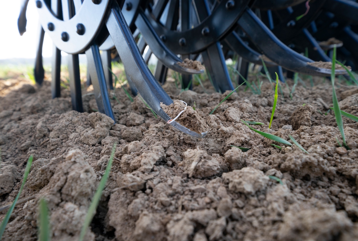 Sweeping out the weeds at an early stage