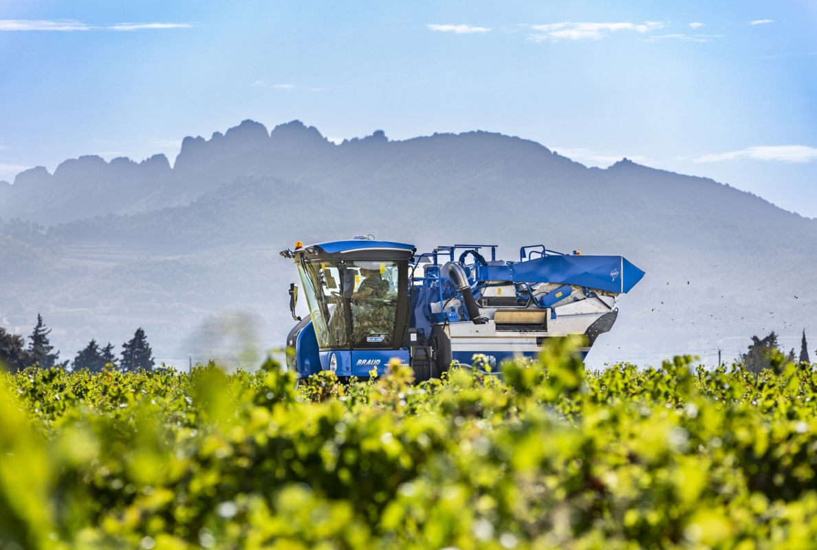 New Holland Braud compact grape harvesters