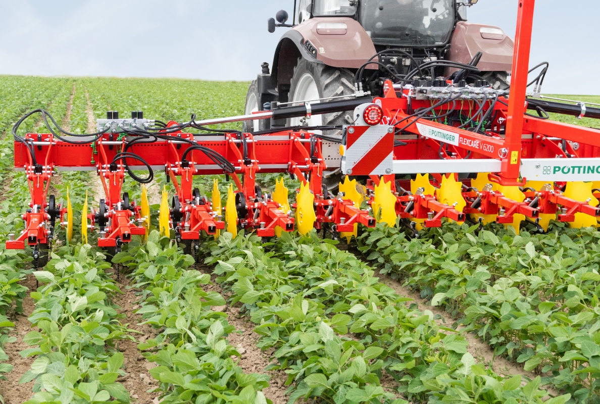 Advanced growth crops can be easily weeded using the FLEXCARE V 6200