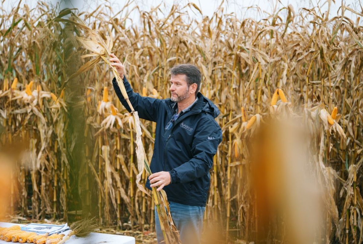 IDEAL combine harvesting system featuring technology including IDEALharvest, HarvestPlus, HeadSight | Corn and TrueSight