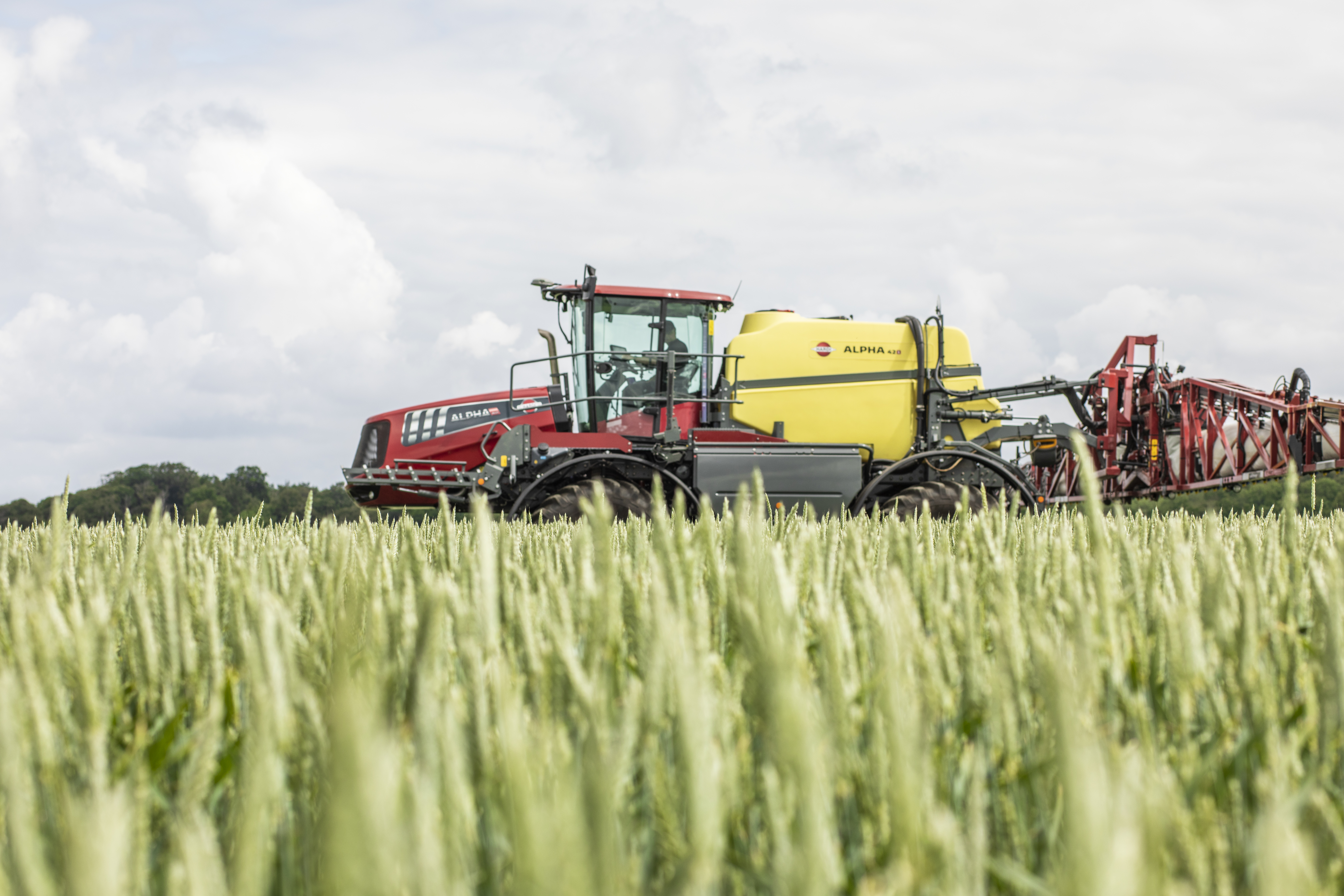 ALPHA evo III wheat field