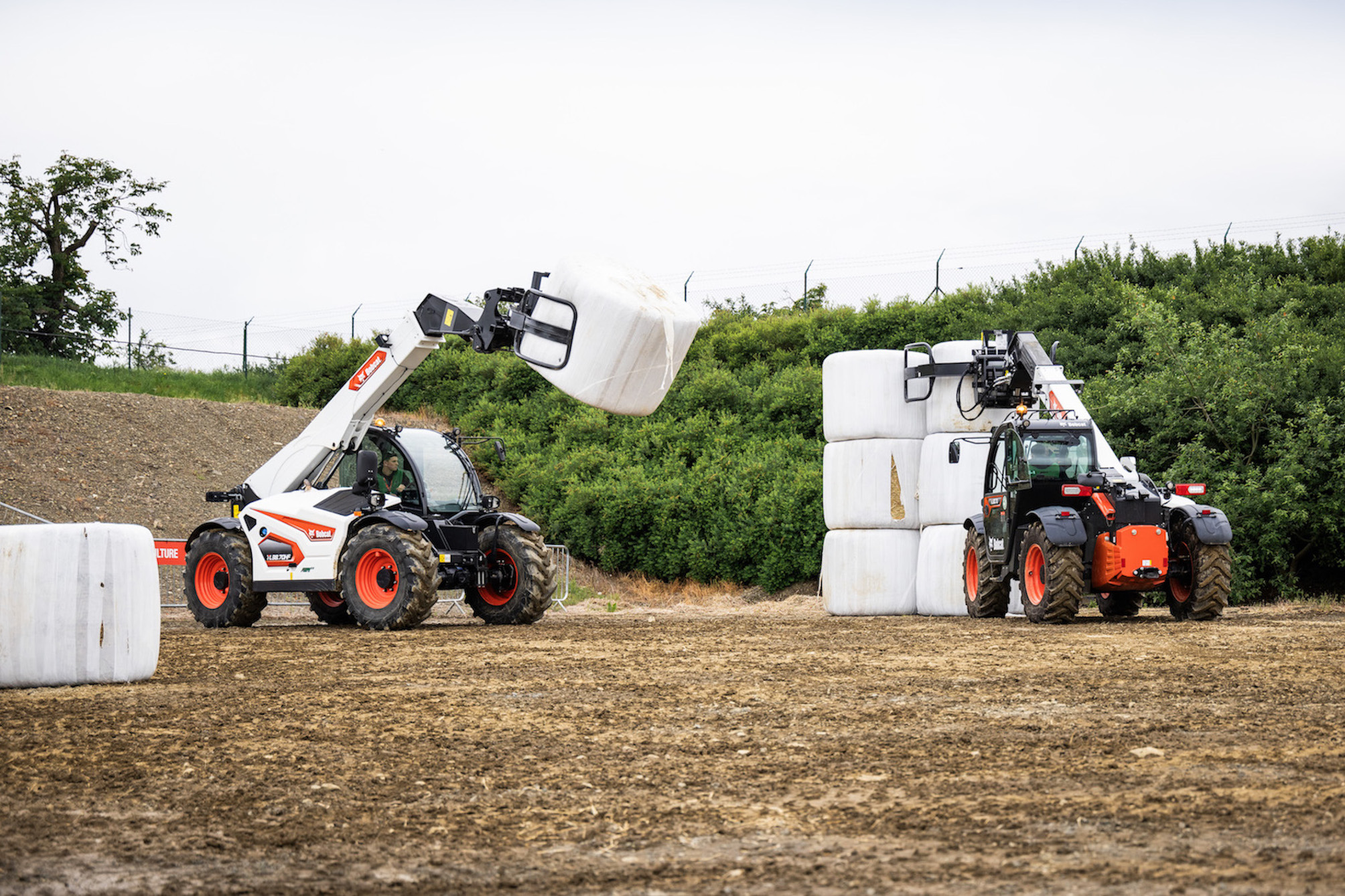 Bobcat Demo Days