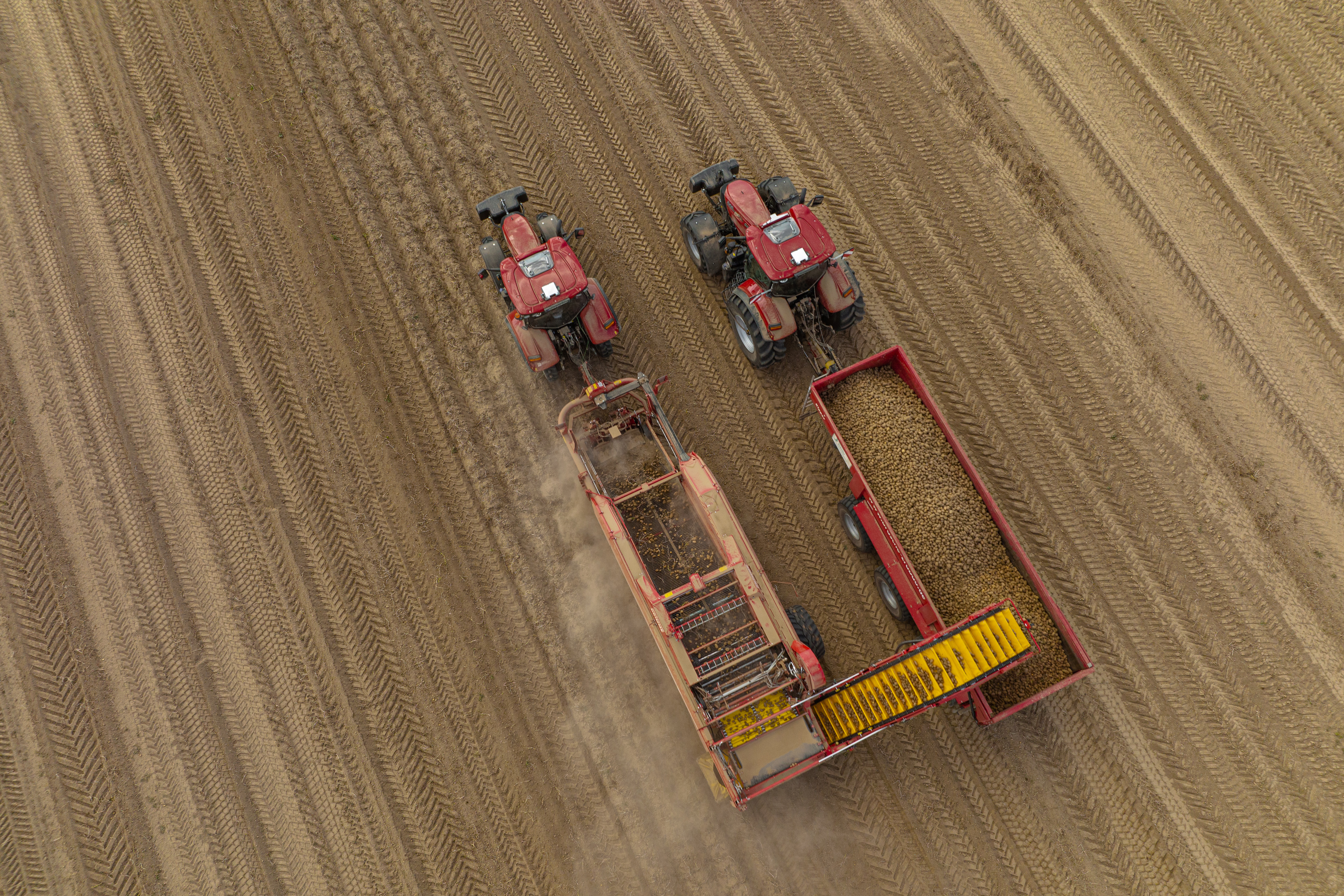 Case IH at Potato Europe Fair