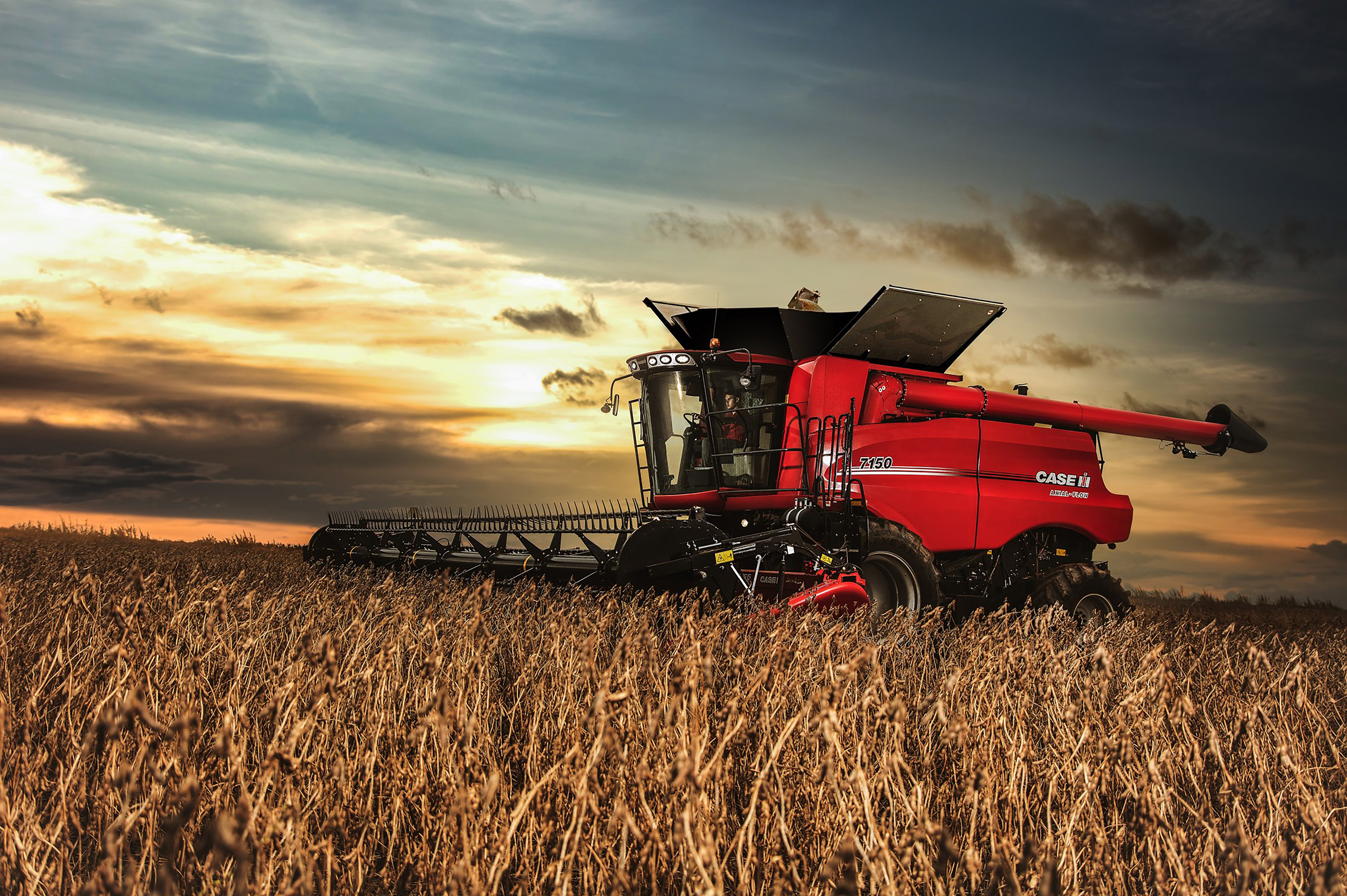 Case IH Axial Flow 150 series - Harvesting on fieldwork