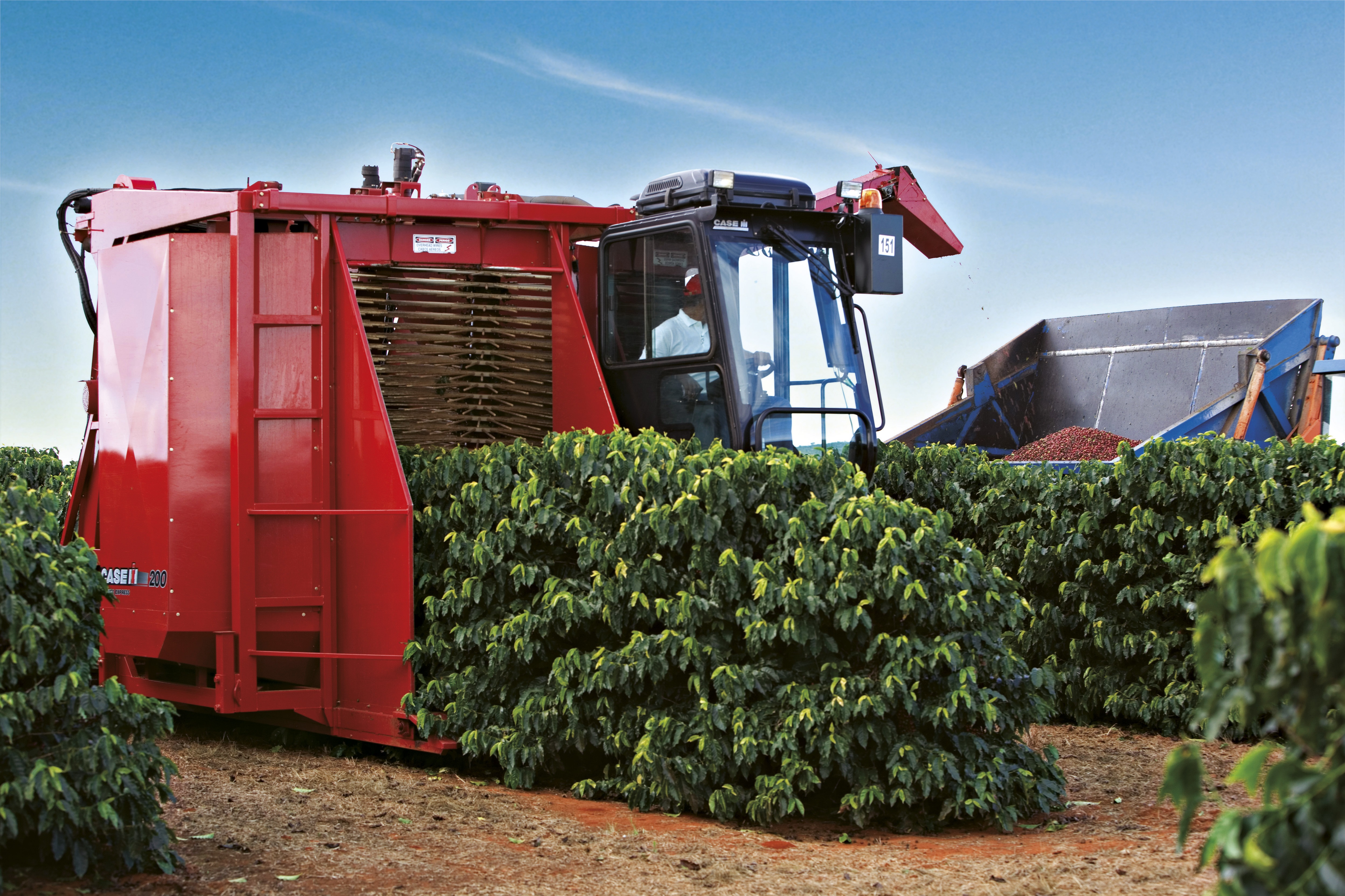 CASE IH Coffee Harvester as Game-Changer for Angolan Growers
