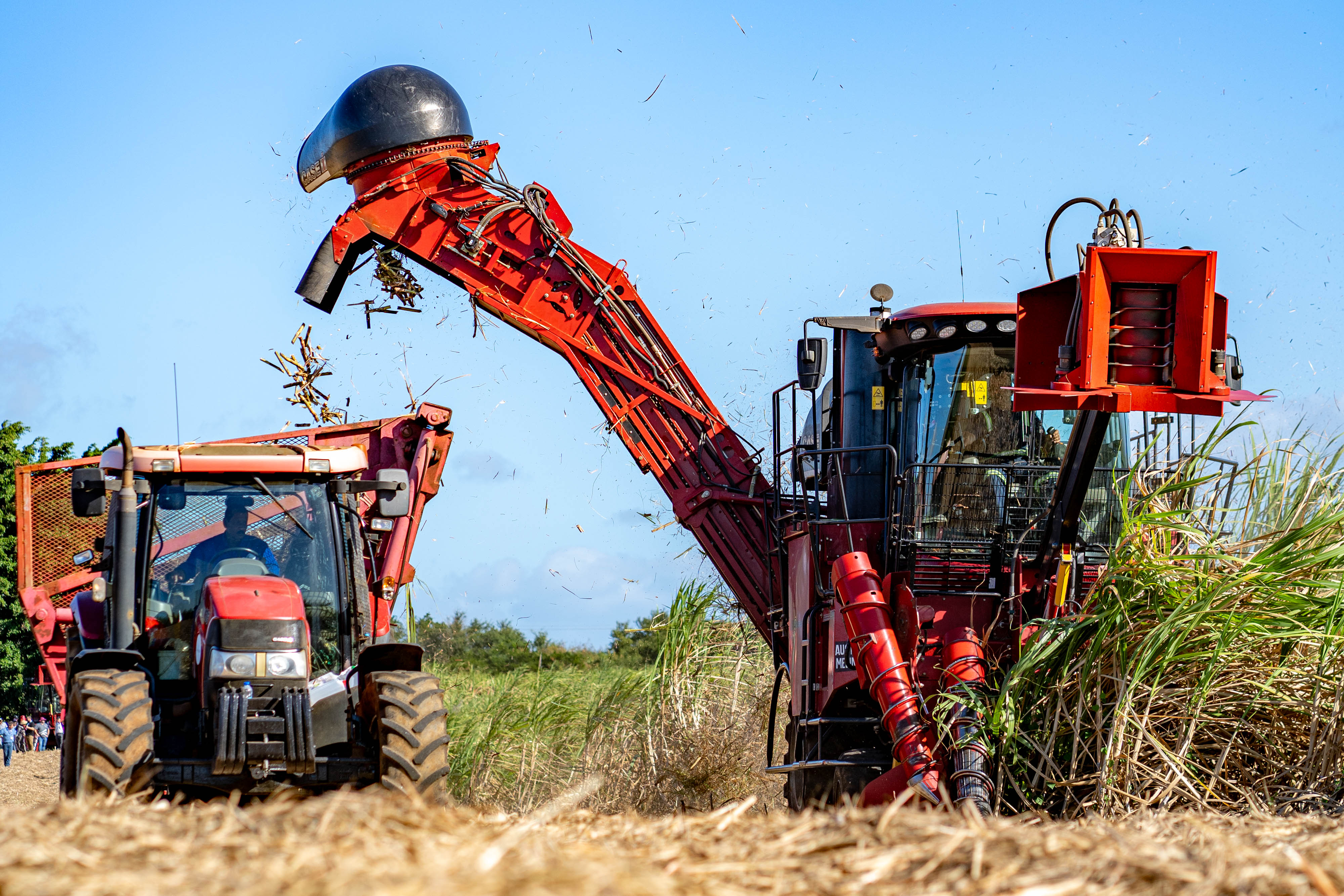 CASE IH New Sugarcane Harvester Austoft 9000 series