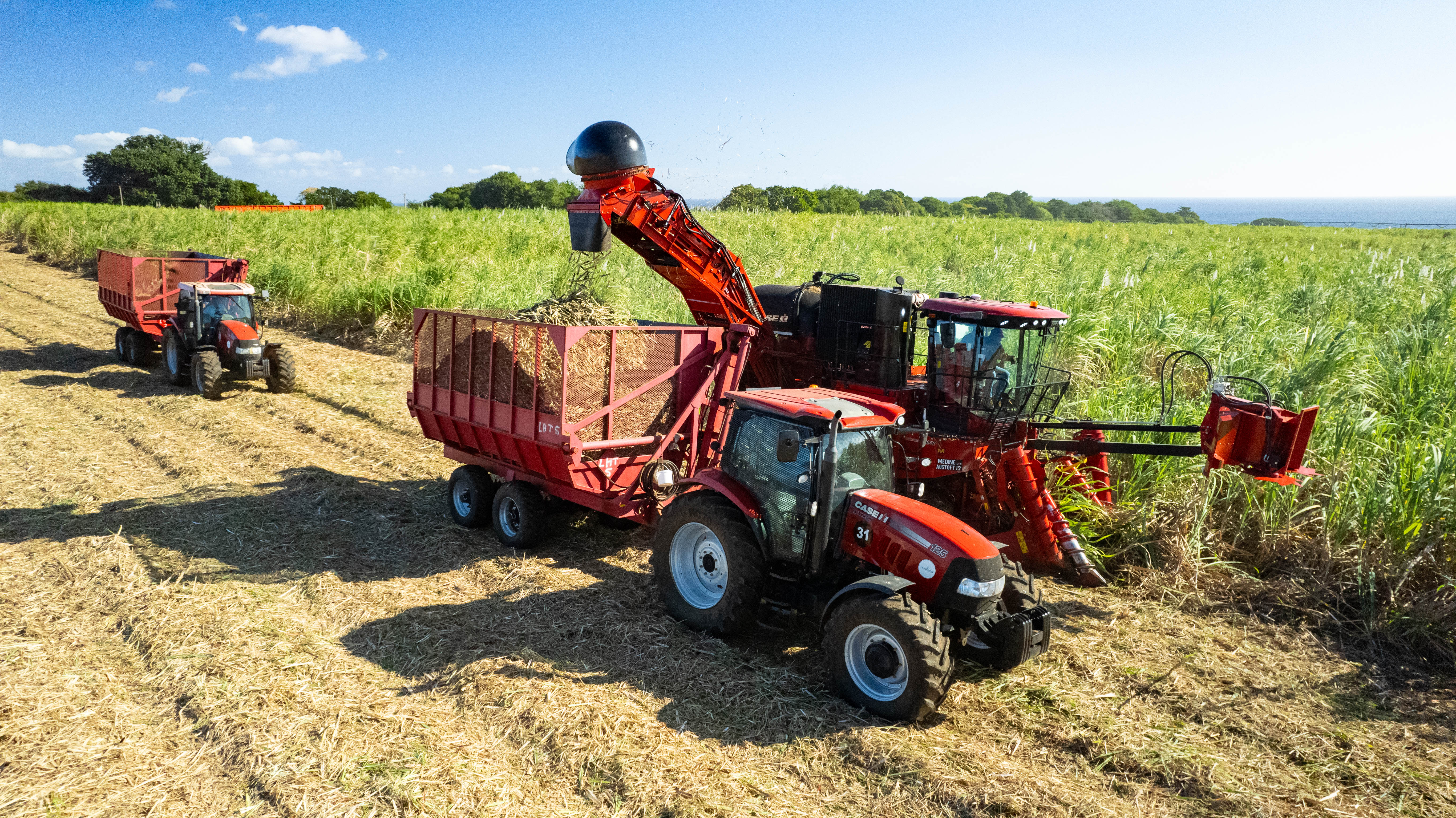 CASE IH New Sugarcane Harvester Austoft 9000 series