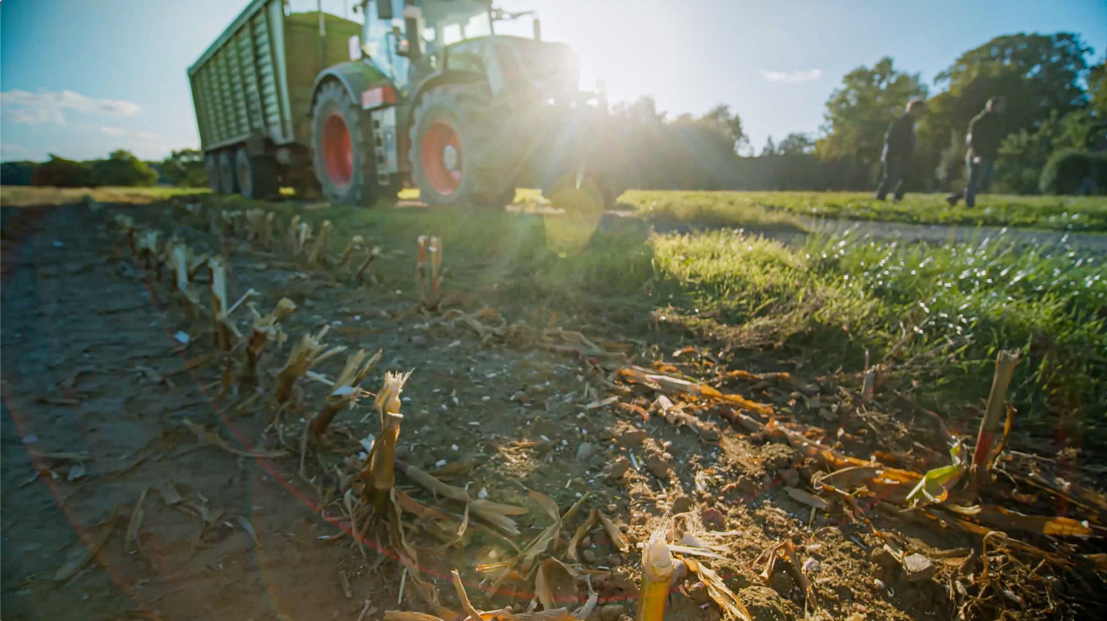 The residual stubble, that can be left for more than a year, hardens, and represents a much higher risk to tires.<br> Image source: Continental AG