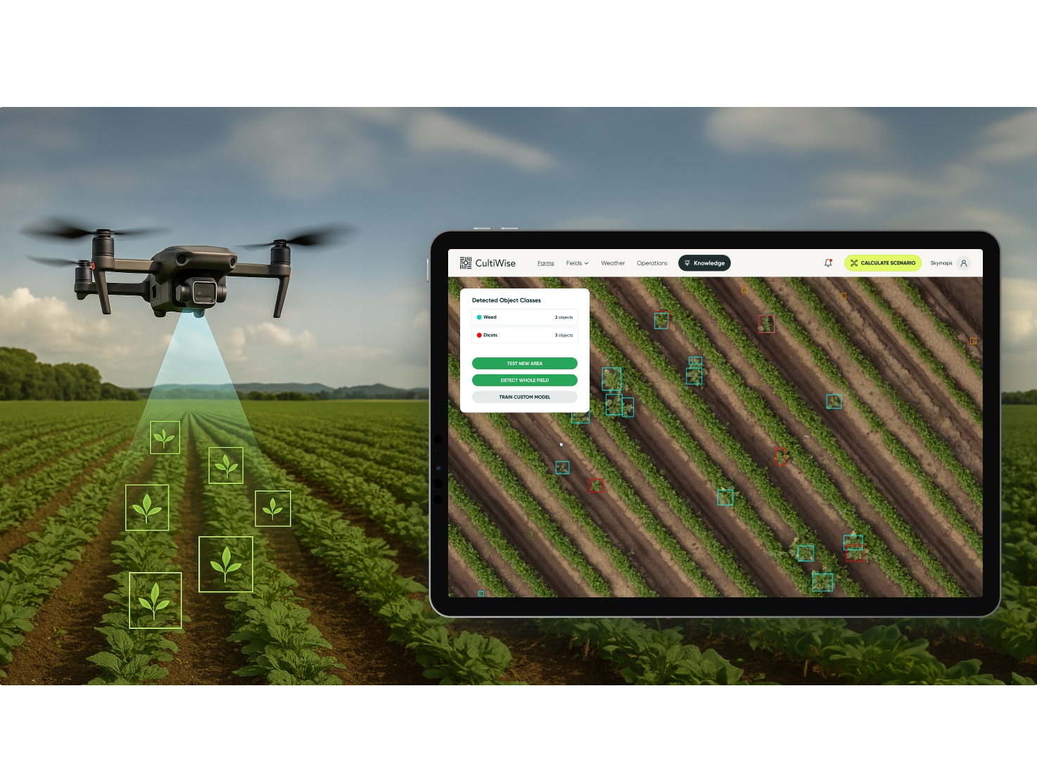 Farmers capture field images using drones flying at heights of 40 to 120 meters and upload them to the CultiWise platform.