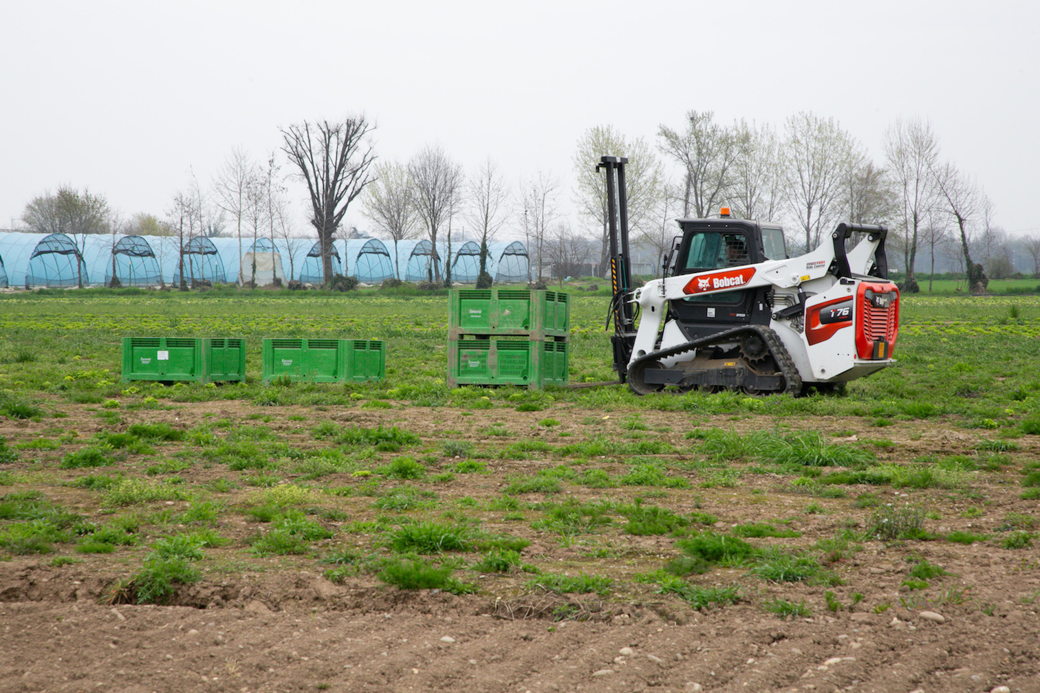 Bobcat T76 Compact Track Loader: An Irreplaceable Ally for Harvesting in the Euroverde Fields