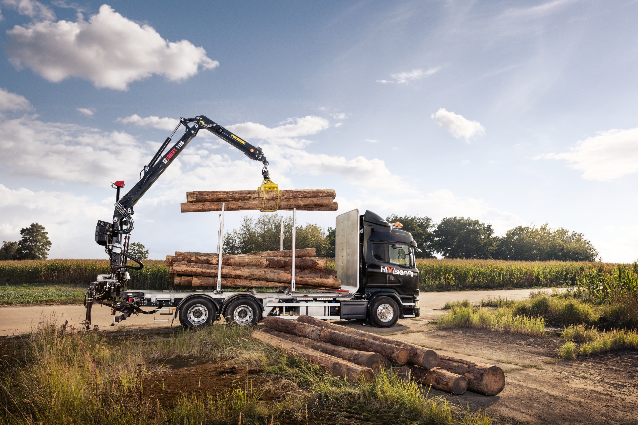 HiVision for forestry cranes
