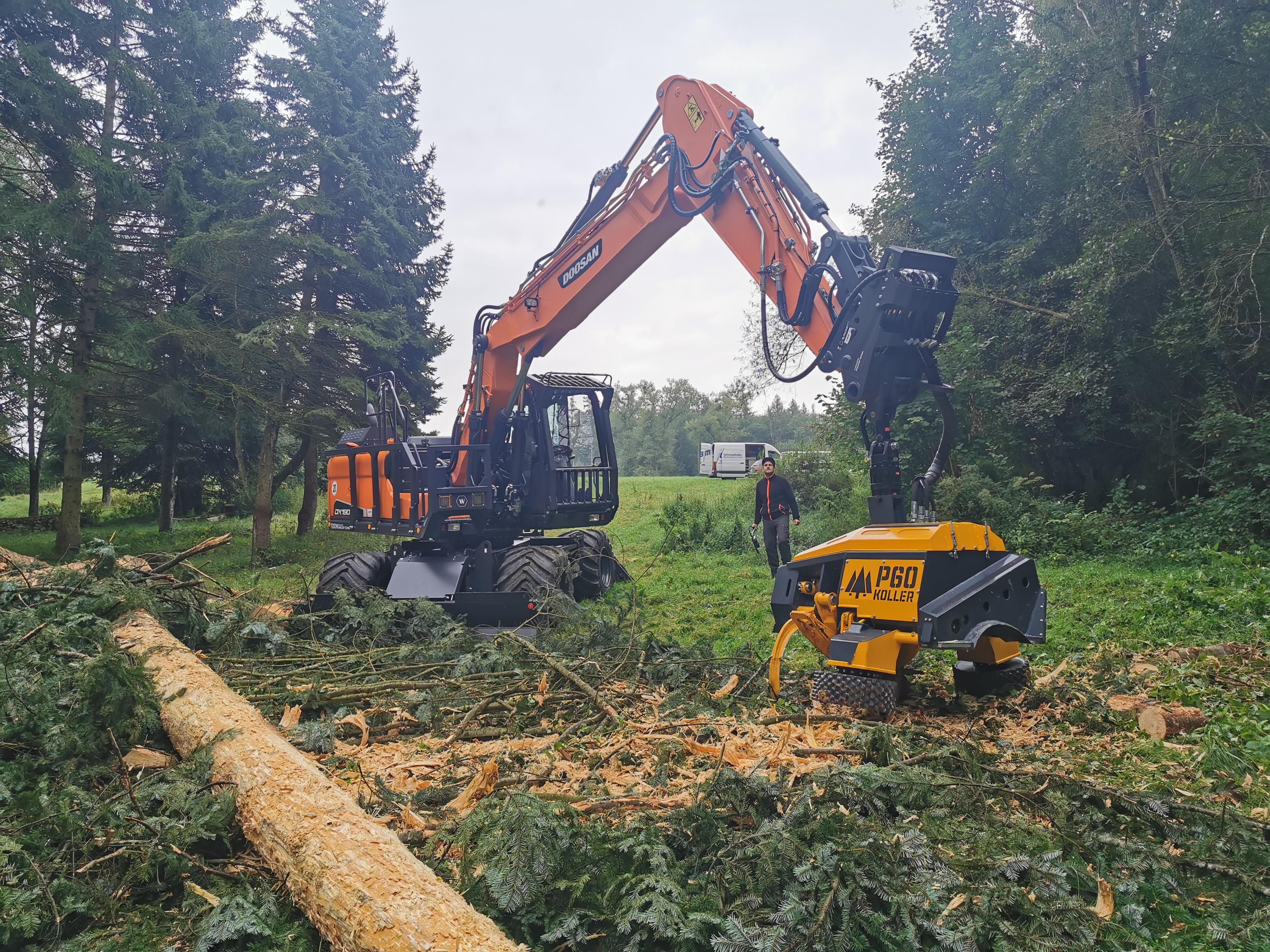 New Doosan Wheeled Excavator Outstanding in Forestry Work <br> Image source: Doosan Infracore Europe B.V.