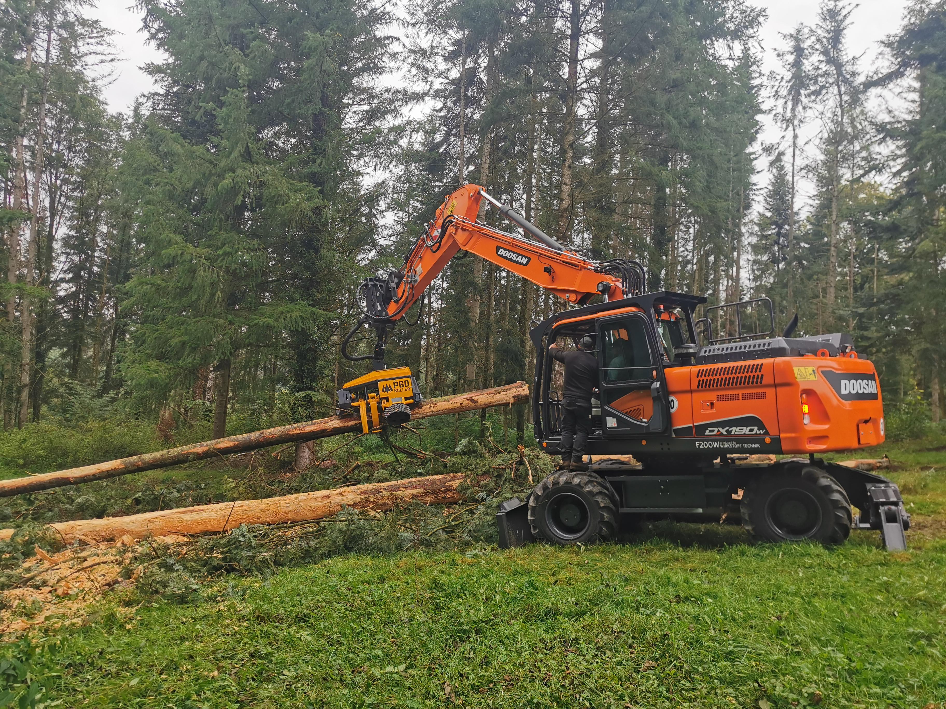 New Doosan Wheeled Excavator Outstanding in Forestry Work <br> Image source: Doosan Infracore Europe B.V.