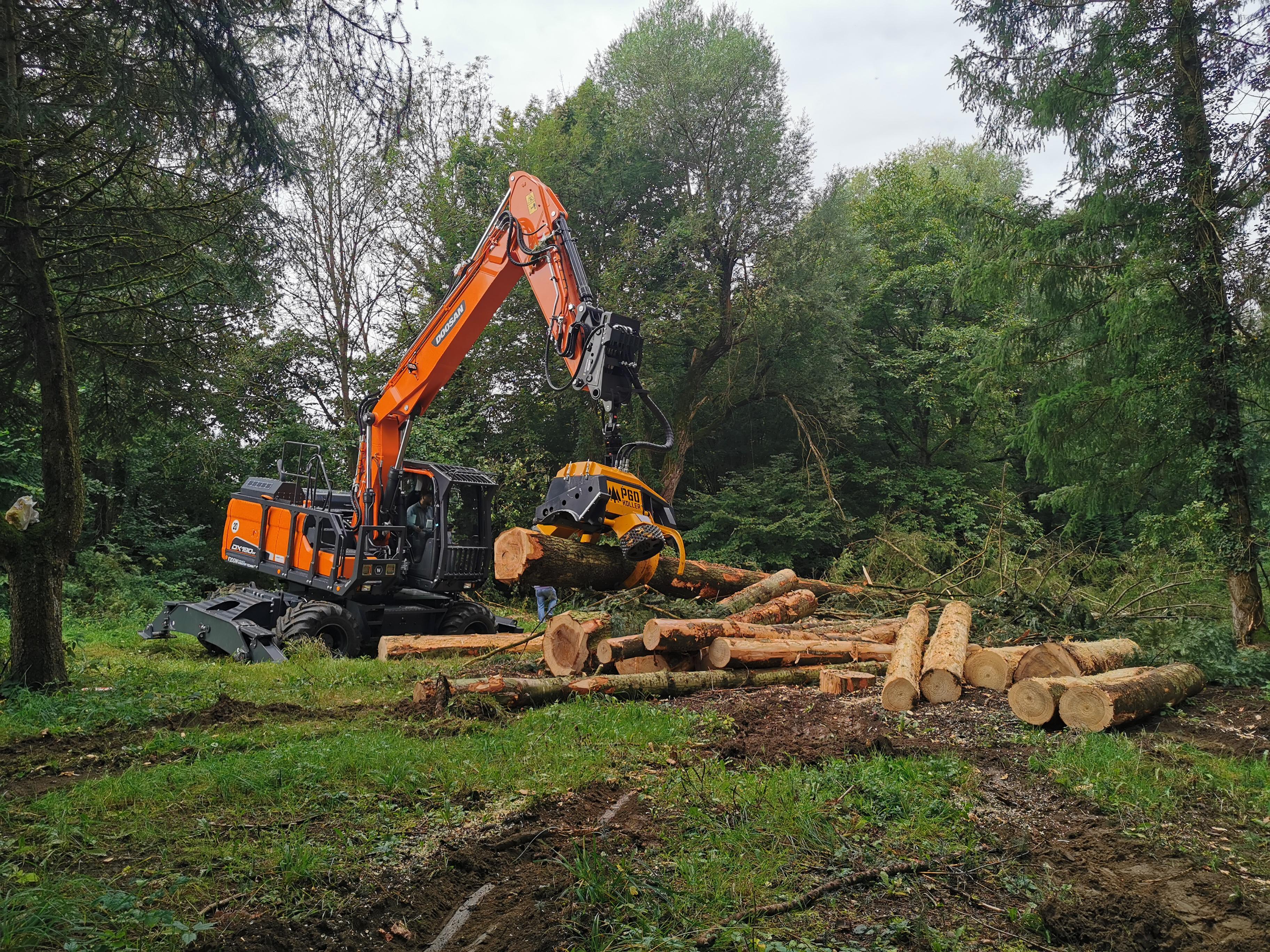 New Doosan Wheeled Excavator Outstanding in Forestry Work