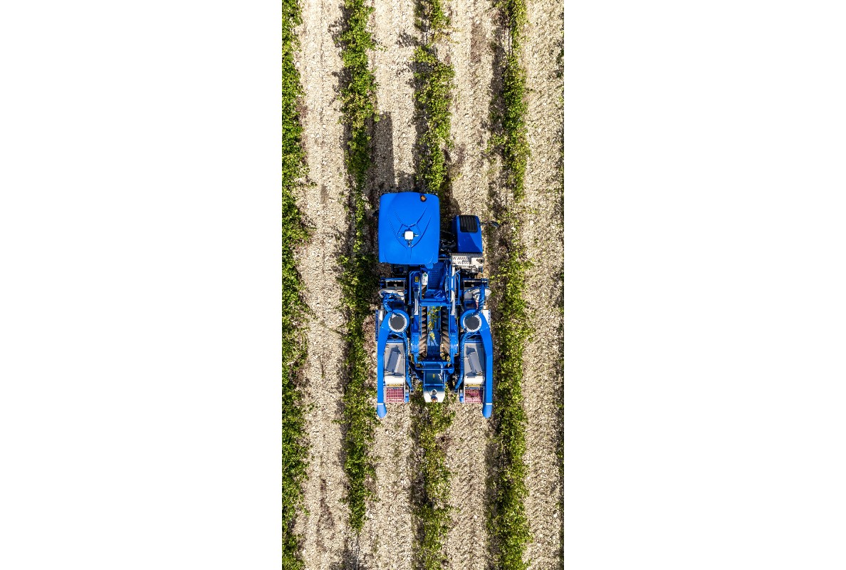 New Holland Braud compact grape harvesters