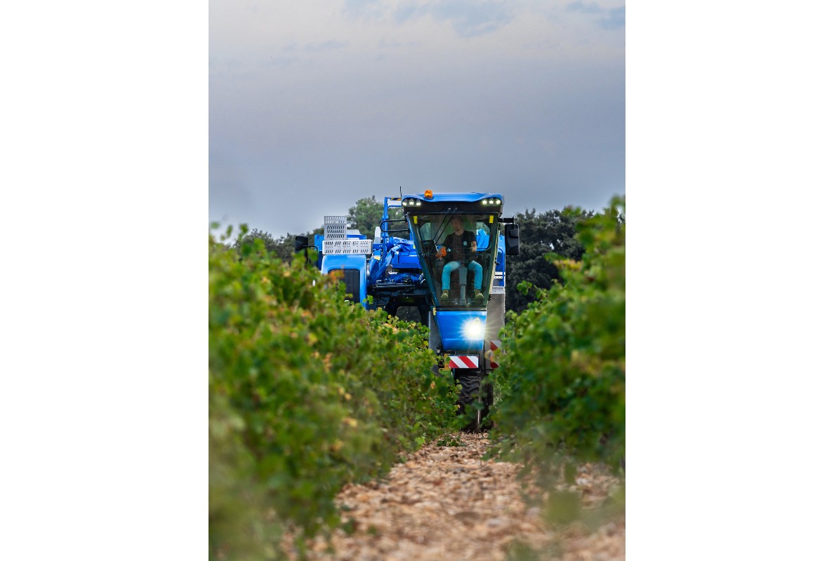 New Holland Braud compact grape harvesters