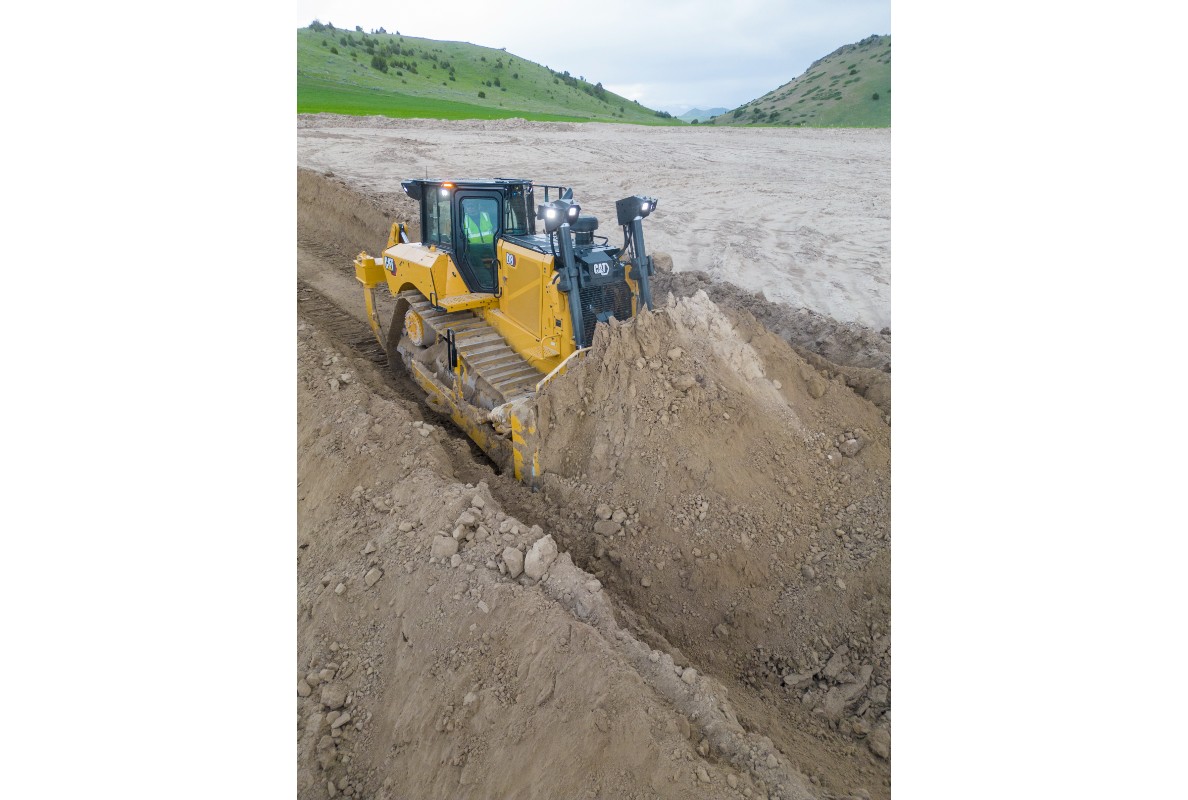 Cat D8 Portrait
