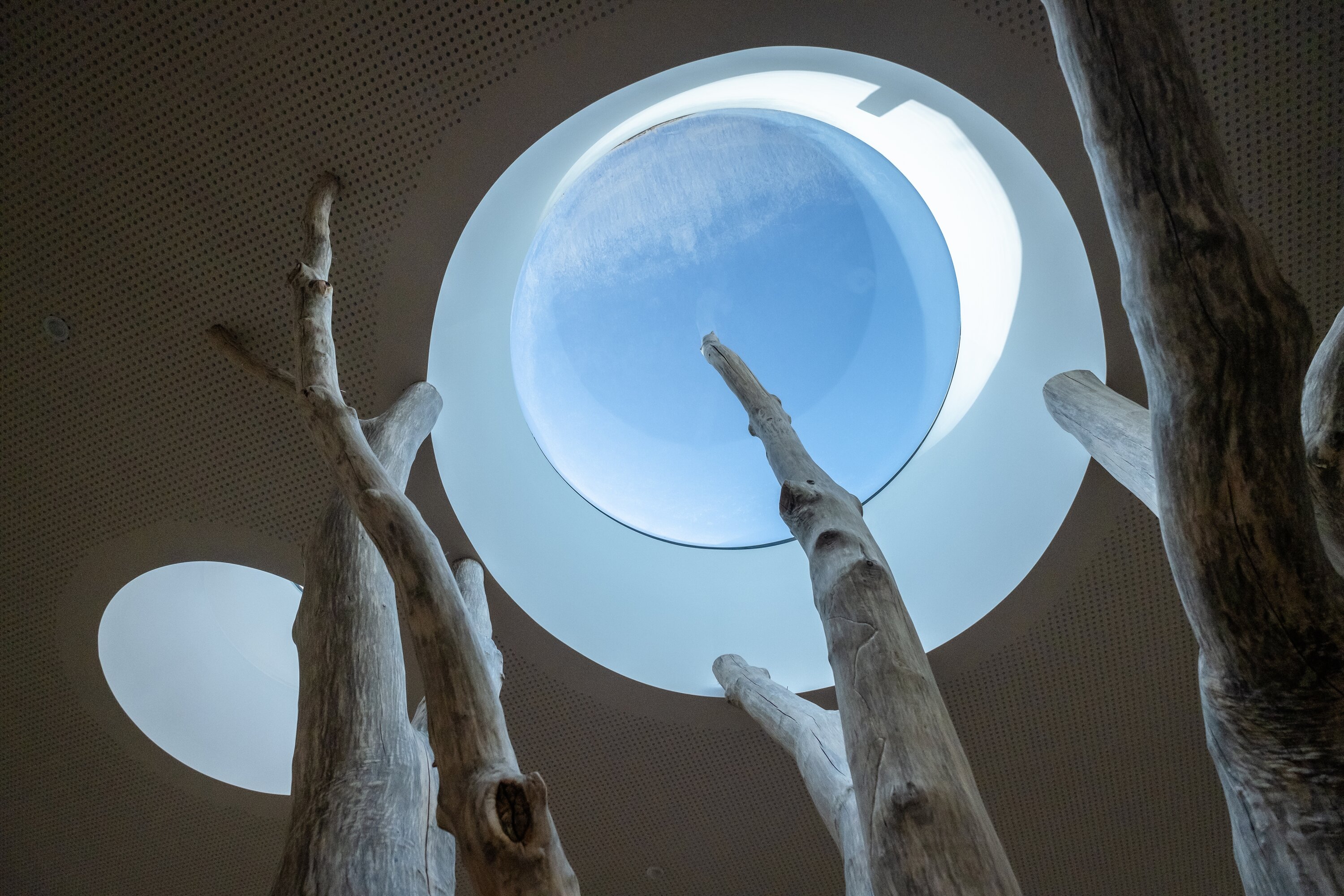 Glass architecture connects the outside with the inside <br> Image source: LAMILUX