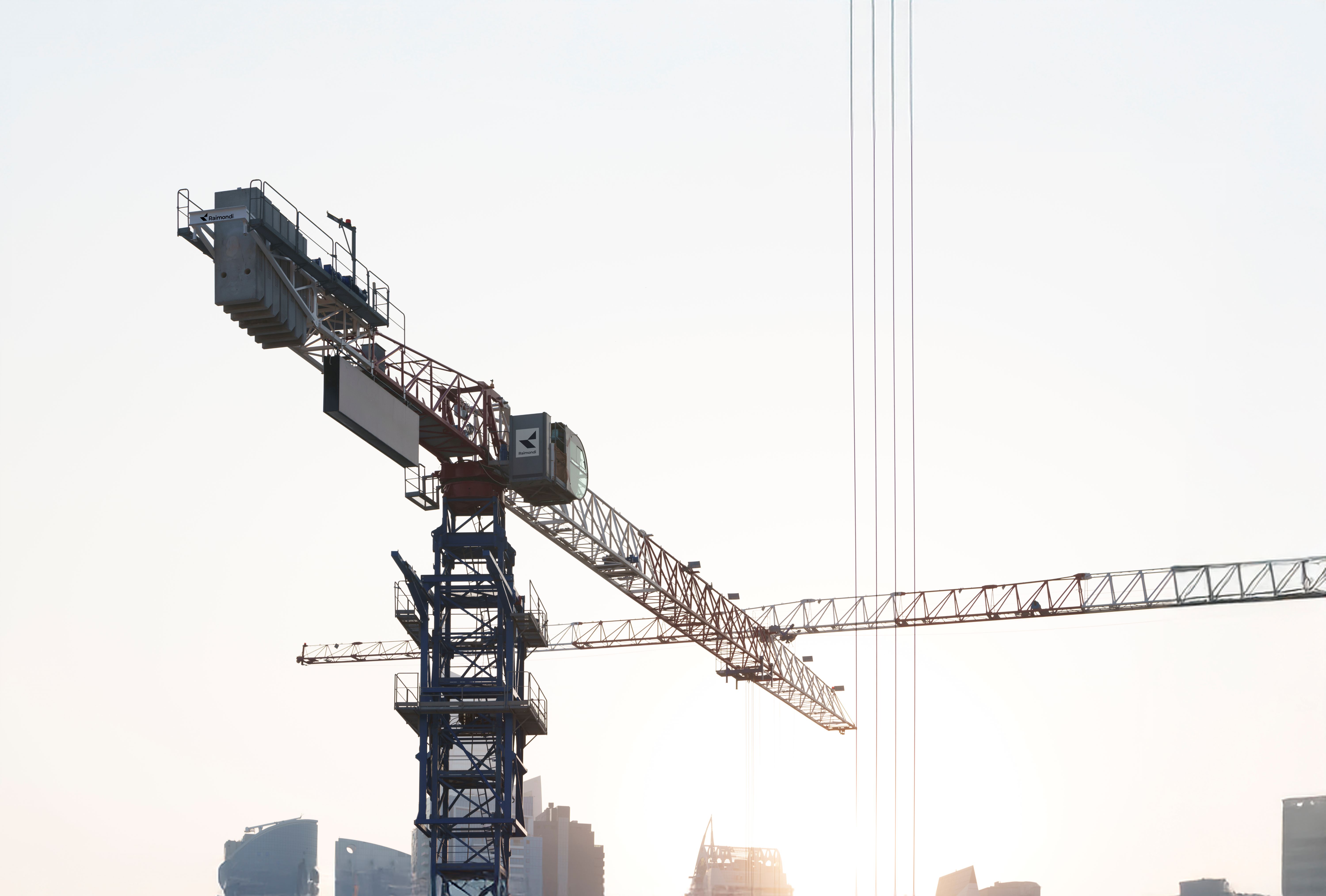 Raimondi Cranes targets the