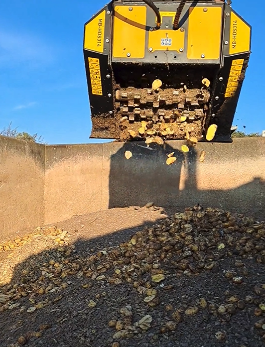 Cleaning and Chopping Potatoes with MB-HDS314 Shafts Screener & RM Kit for Faster Decomposition