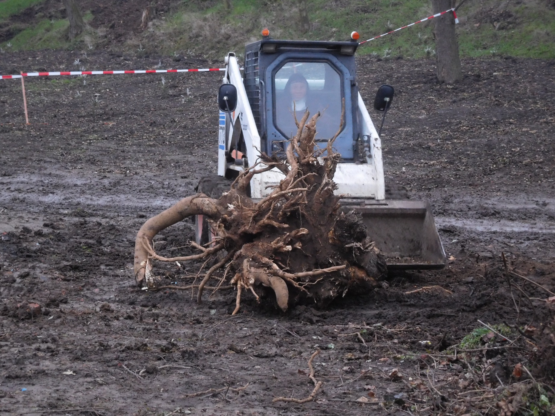 The 773 loader being used in preparation works at Drasty