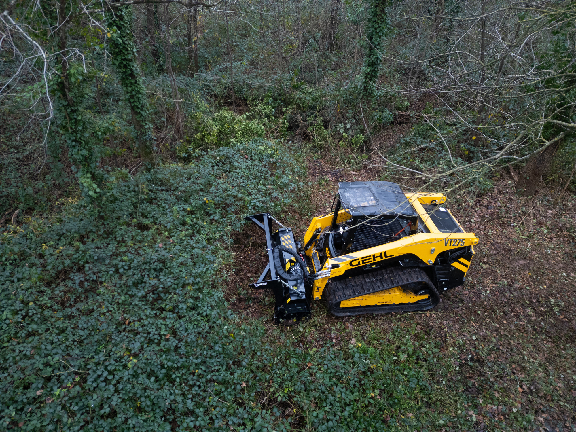 Forestry and Stone Mulcher + Gehl Skid loader VT 275