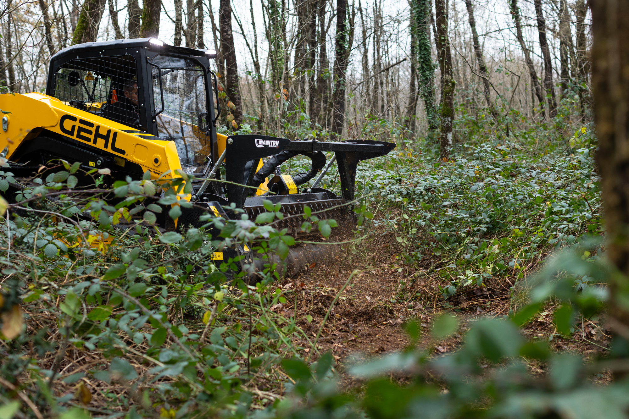 Skid loader VT 275 Mulcher Gehl