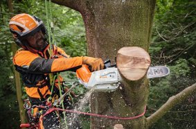 Removing logs and branches with medium diameters is quickly done with the handy STIHL MSA 220 T.
