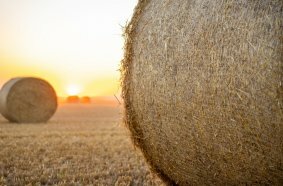 Nature's Net Wrap